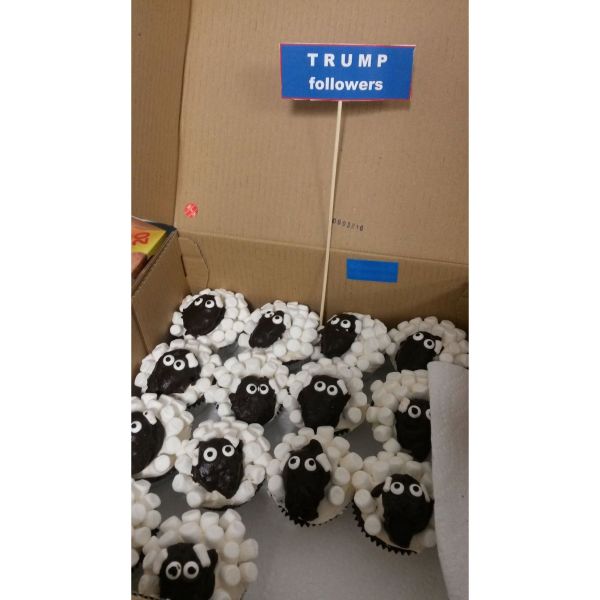 Box of Sheep